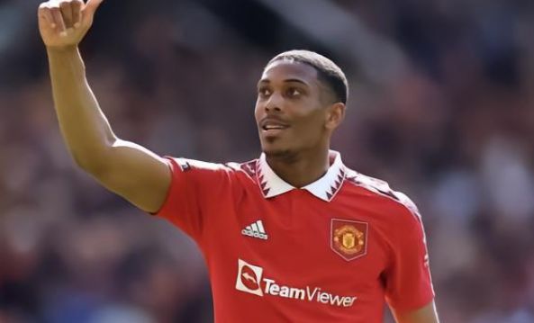 益复杂的背 益复杂的背