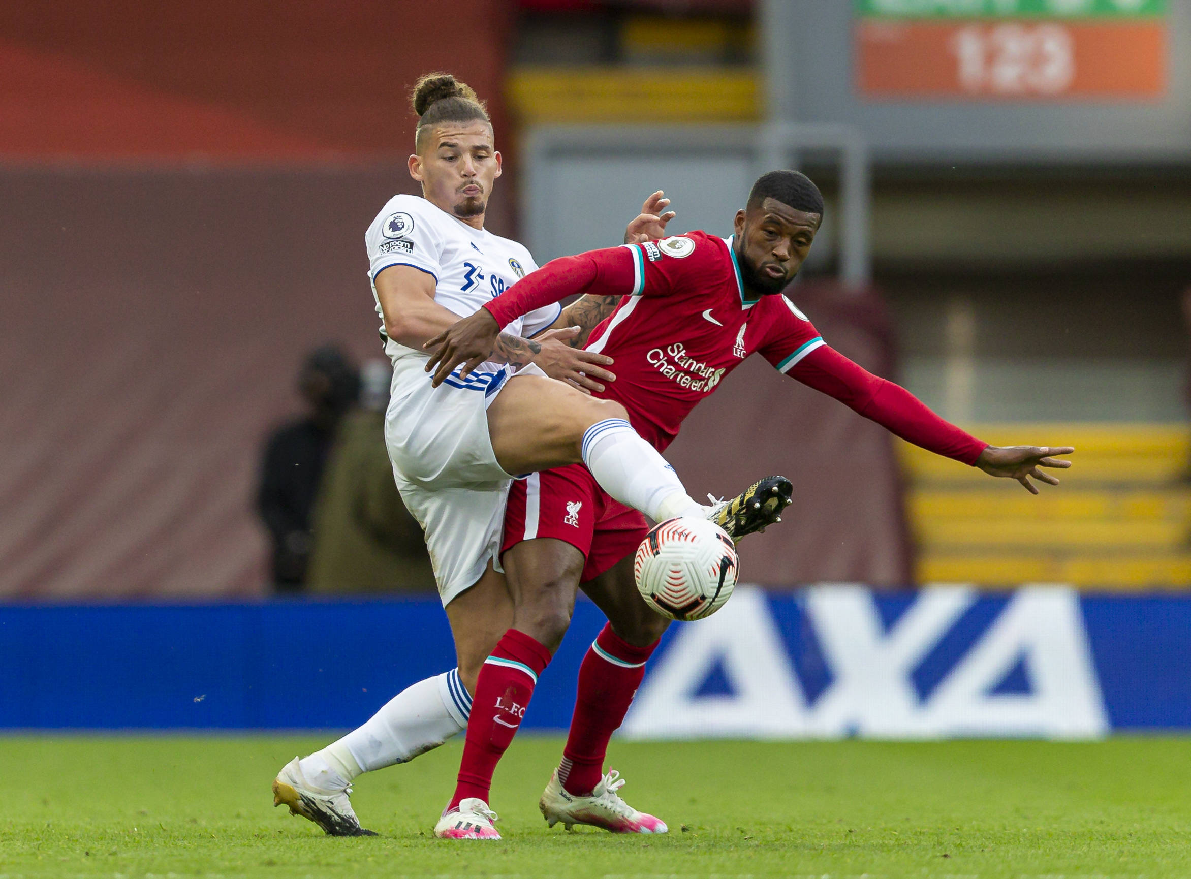 但厄瓜多尔 但厄瓜多尔